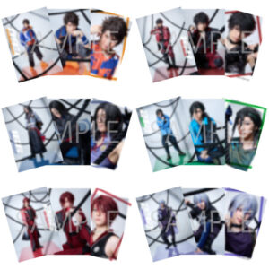 ミュージカル『刀剣乱舞』 〜坂龍飛騰〜 ブロマイド刀剣男士（ライブver.） 6種セット（【2L判写真（ライブver.）】付き）