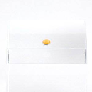 ルミドーム2 蛍光オレンジ 5.0mm（10個入）