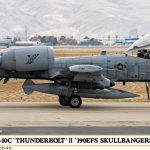 A-10C サンダーボルト II ‘190EFS スカルバンガーズ’