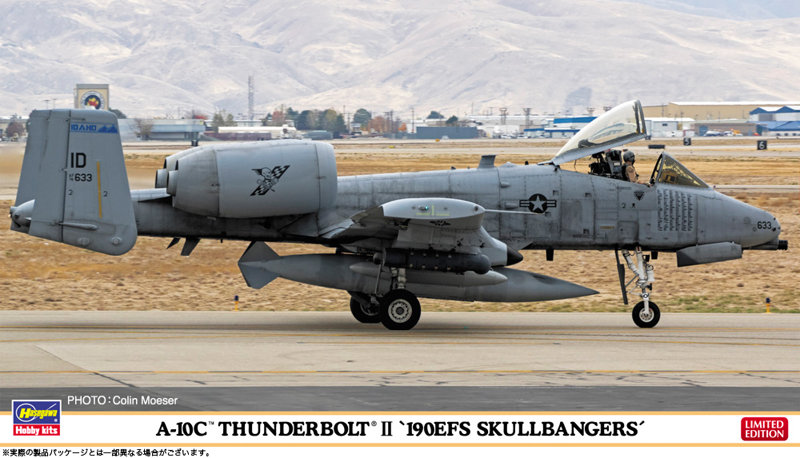 A-10C サンダーボルト II ‘190EFS スカルバンガーズ’
