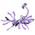 ゼノアルマ タイダル オルケートス