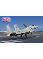 航空自衛隊 F-15DJ 戦闘機