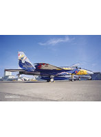 AC-100 1/72 航空自衛隊 F-15J イーグル 第204飛行隊 F-15改編10周年記念塗装機 ’ミスティックイーグル’ 1995