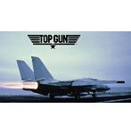 03865 1/48 F-14A トムキャット ‘トップ ガン’