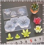 C-640 多肉植物立体型A