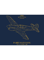 EDUR0023 1/48 デュアルコンボ ロイヤルクラス P-40E ウォーホーク プラモデル （飛行機）