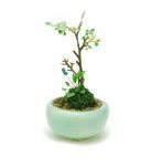 【再販】 BONN05 丸鉢寄せ植え【水色】