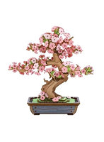 Sakura Bonsai