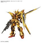 RG 1/144 アカツキガンダム（オオワシ装備）