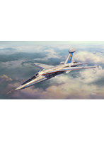 02483 1/72 EF-111A レイブン ‘エレクトリック フォックス’