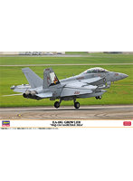 02487 1/72 EA-18G グラウラー ‘VAQ-134 ガルーダス 2024’