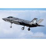 TPA-51 1/72 航空自衛隊F-35A ライトニングII 第301飛行隊 50周年記念特別塗装機