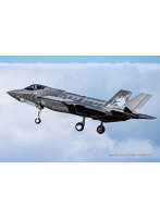 TPA-51 1/72 航空自衛隊F-35A ライトニングII 第301飛行隊 50周年記念特別塗装機