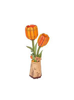 オレンジチューリップ