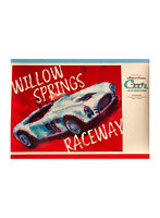 【10%ポイント還元中】1/25 コブラ289ウイロースプリングス レース仕様