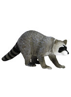 MJP387159 My Little Zoo-ぼくの わたしの てのひら動物園- 動物フィギュア アライグマ