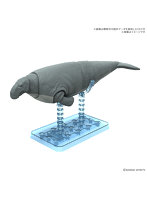 プラノサウルス ステラーカイギュウ