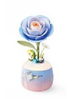 Starry Camellia Lamp （英語版）