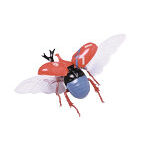 自由研究シリーズ No.217 はたらく細胞編 カブトムシ 赤血球 動脈/静脈 ver.