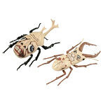 自由研究シリーズ No.256 TVアニメ『進撃の巨人』編 カブトムシ＆クワガタムシ 無垢の巨人仕様