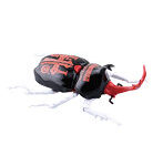 自由研究シリーズ No.2102 新日本プロレスリング編 カブトムシ 内藤 哲也仕様