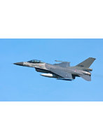 03802 1/32 F-16 ファイティング ファルコン 50周年記念