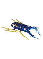 自由研究シリーズ No.223仮面ライダーカブト編 クワガタムシ ガタックゼクター仕様