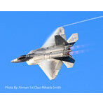 1/144 アメリカ空軍戦闘機 F-22Aラプター ’デモンストレーションチーム’ 2機セット