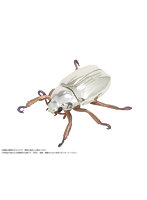 DiGiSM プラチナコガネ（リンバータプラチナコガネ）