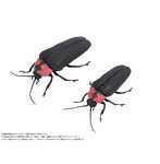 DiGiSM ゲンジボタル（メス・オスペア）