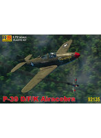 RSモデル 1/72 P-39D/F/K エアロコブラ
