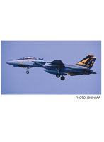 プラッツ/イタレリ 1/48アメリカ海軍 F-14A トムキャット VF-21 フリーランサーズ 厚木基地
