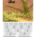 1/35 雑草、ツタ