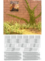 1/35 雑草、ツタ