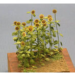 1/48 ヒマワリ ［A-1-48］