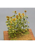 1/48 ヒマワリ ［A-1-48］