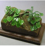 1/35 ジャングルA