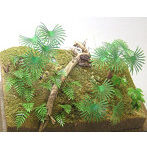 1/35 ジャングルB