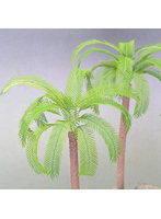 1/48 ヤシの葉