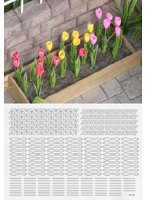 1/35 チューリップ ［A-3-35］