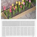 1/48 チューリップ ［A-3-48］