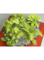 1/35 ジャングルプラント