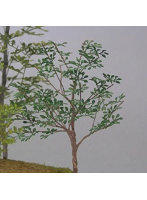 1/48 雑木 ［A-7-48］