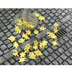 落葉メープル（黄）