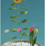 1/12 お試しキット