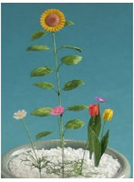 1/12 お試しキット