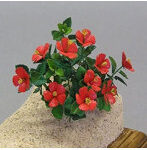 1/12 ハイビスカス