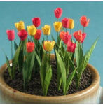 1/12 チューリップ