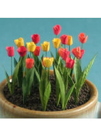 1/12 チューリップ