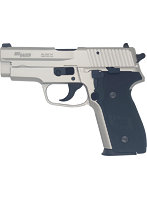 SIG P228 EVO2 WarmSilverCoating ALL HW ModelGun